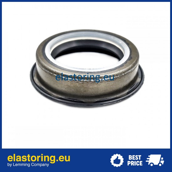 Oil seal 25x35/40x8,3/9,6 B1SF NBR