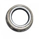 Oil seal 25x35/40x8,3/9,6 B1SF NBR