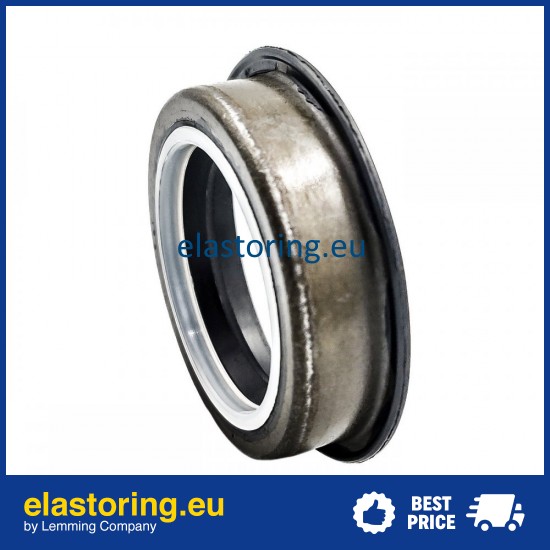 Oil seal 25x35/40x8,3/9,6 B1SF NBR