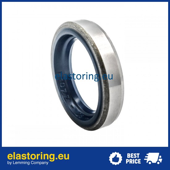 Oil seal 25x36x7 B1 NBR