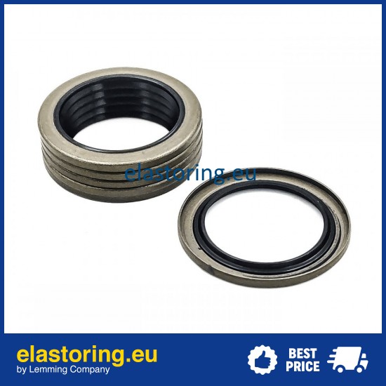 Oil seal 27x38x2,5 VB NBR