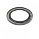 Oil seal 27x38x2,5 VB NBR