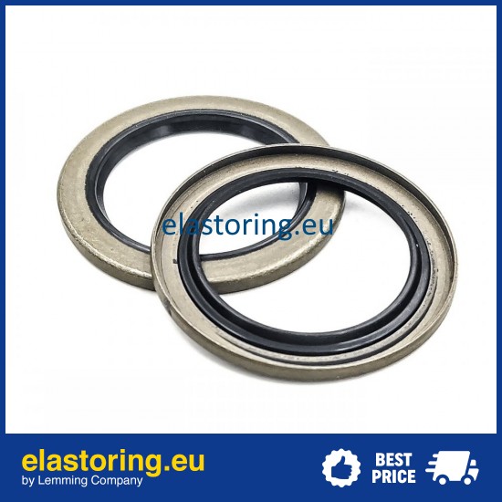 Oil seal 27x38x2,5 VB NBR