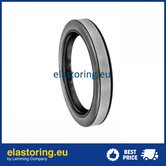 Oil seal 28x39x6 VZ NBR