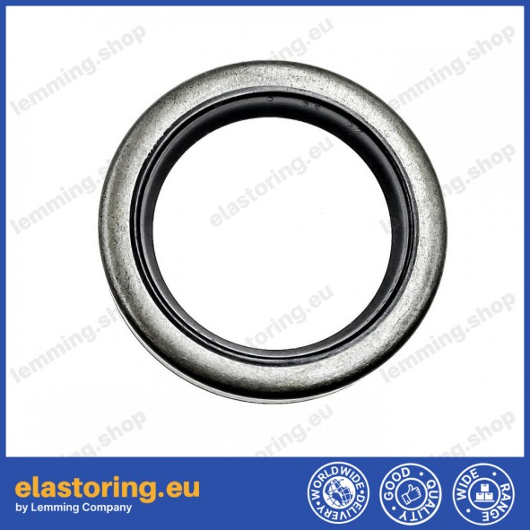 Oil seal 28x39x6 VZ NBR Oil seal 28x39x6 VZ NBR