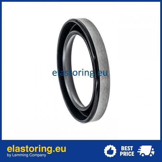 Oil seal 28x39x6 VZ NBR