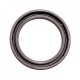 Oil seal 35x47x6 PPS2 FPM