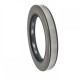 Oil seal 54x80x10 SA NBR