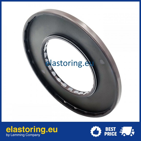 Oil seal 65x120x7 PPS FPM