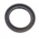 Oil seal 80x110x10,3/19 BAVISLSFX67 FPM