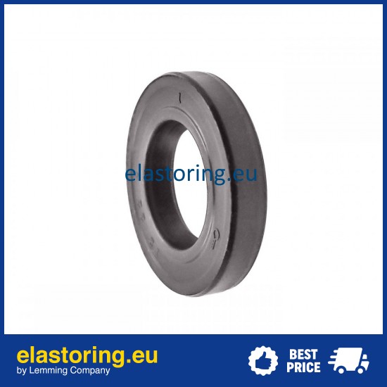 Oil seal WDR-F10 12x22x4 FPM Oil seal WDR-F10 12x22x4 FPM