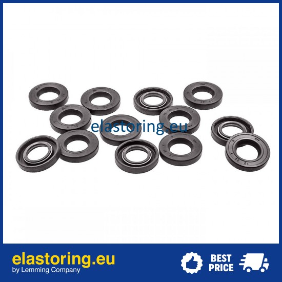 Oil seal WDR-F10 12x22x4 FPM Oil seal WDR-F10 12x22x4 FPM