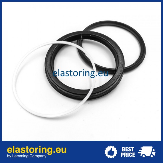 Piston seal 10DS 110x90x13,5 POLYPAC DS433354-NEO Piston seal 10DS 110x90x13,5 POLYPAC DS433354-NEO