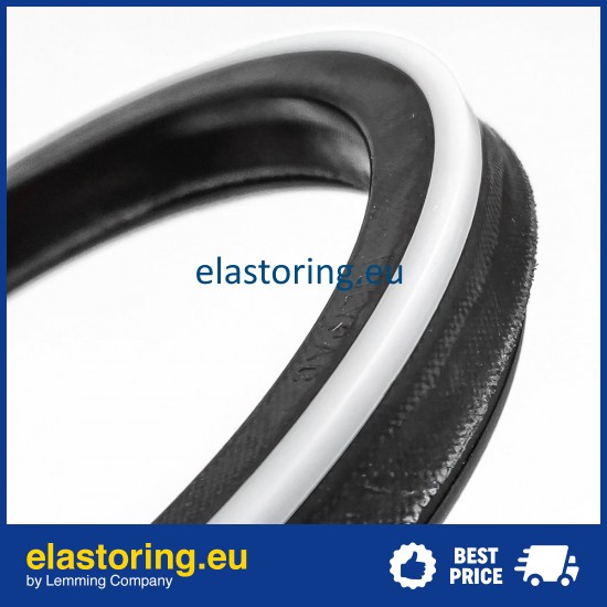 Piston seal 10DS 110x90x13,5 POLYPAC DS433354-NEO Piston seal 10DS 110x90x13,5 POLYPAC DS433354-NEO