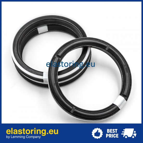 Piston seal 10DS 110x90x13,5 POLYPAC DS433354-NEO