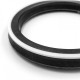 Piston seal 10DS 110x90x13,5 POLYPAC DS433354-NEO