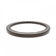 Pressure Oil Seal 100x120x8 BABSL10FX2 FPM