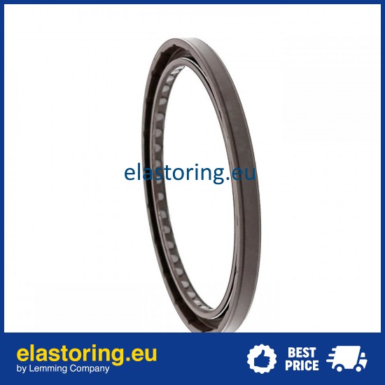 Pressure Oil Seal 100x120x8 BABSL10FX2 FPM