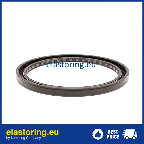 Pressure Oil Seal 100x120x8 BABSL10FX2 FPM