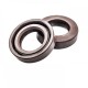 Pressure Oil Seal 17,48x28,58x6,35/7 BABSL FPM