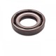 Pressure Oil Seal 17x30x6/6,5 BABSL FPM