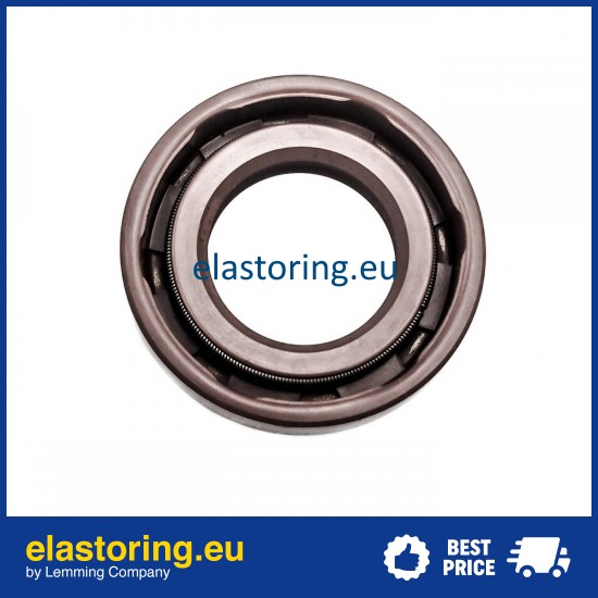 Pressure Oil Seal 17x30x6/6,5 BABSL FPM