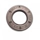 Pressure Oil Seal 17x30x6/6,5 BABSLVI FPM