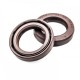 Pressure Oil Seal 22x32x6/6,5 BABSL FPM