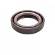 Pressure Oil Seal 22x32x6/6,5 BABSL FPM