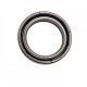 Pressure Oil Seal 25x35x6/6,5 BABSLVI FPM