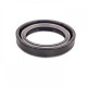 Pressure Oil Seal 25x35x6/6,5 BABSLVI FPM