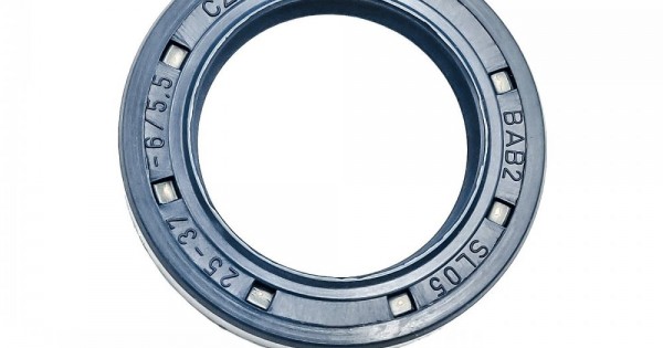 Amazon.com: Stabilus 537997 Gas Spring, bonnet : Automotive