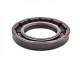 Pressure Oil Seal 25x42x6/6,5 BABSLVI FPM