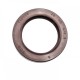 Pressure Oil Seal 28x40x6 BABSL FPM