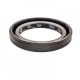 Pressure Oil Seal 30x42x6 BABSL10FX2 FPM