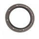 Pressure Oil Seal 35x47x7/5 BABSL1,5 FPM