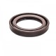 Pressure Oil Seal 35x50x7/7,5 BABSL FPM