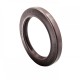 Pressure Oil Seal 40x55x6/6,5 BABSL FPM