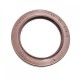 Pressure Oil Seal 40x55x6/6,5 BABSL FPM