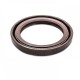 Pressure Oil Seal 40x55x6/6,5 BABSL FPM