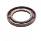 Pressure Oil Seal 40x62x7/7,5 BABSL FPM