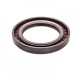 Pressure oil seal 42x62x7/7,5 BABSL FPM