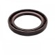 Pressure Oil Seal 45x62x7/7,5 BABSL FPM