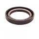 Pressure Oil Seal 50x70x10/11 BABSL FPM