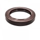 Pressure Oil Seal 50x70x10/11 BABSL FPM