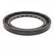 Pressure Oil Seal 50x70x7 BABSL10FX2 FPM