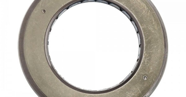 81hEyudGZcL._UF350,350_QL50_.jpg