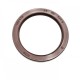 Pressure Oil Seal 55x70x7/7,5 BABSL FPM