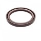 Pressure Oil Seal 55x70x7/7,5 BABSL FPM