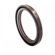 Pressure Oil Seal 55x70x8/8,5 BABSL FPM